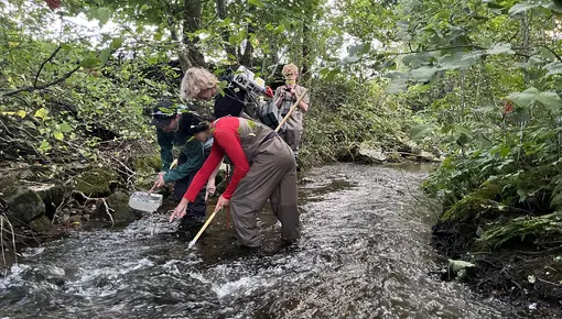 Elfiske Skienselva
