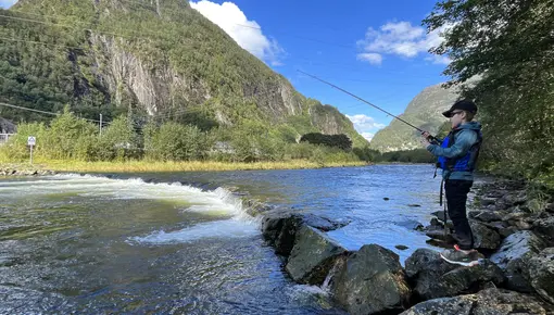 Ung fiskar langs elva