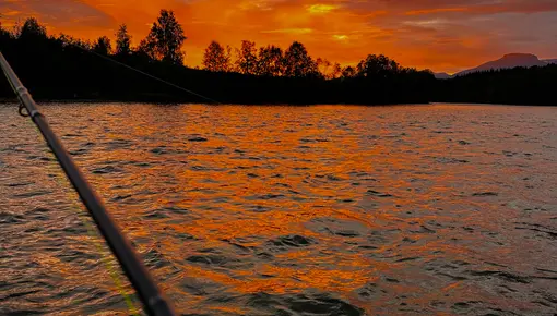 Solnedgang og fiskestang