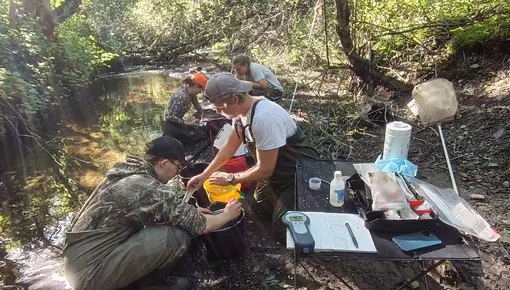 NMBU på elfiske og merking_verdalselva