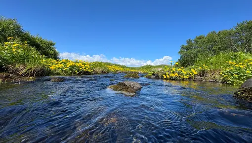 Kongsfjordelva 26