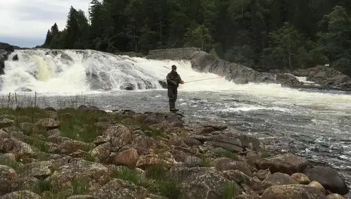 Fiske i Teiefoss