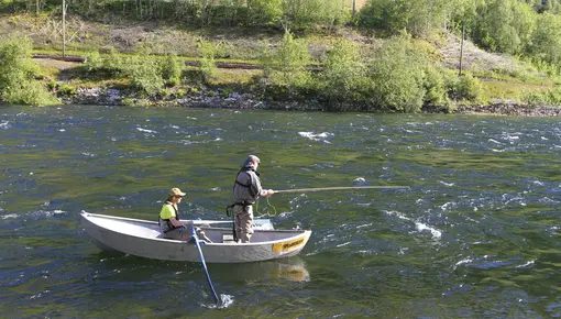 Lakefisker i båt