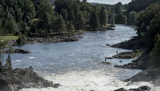 Boenfossen i Tovdalselva