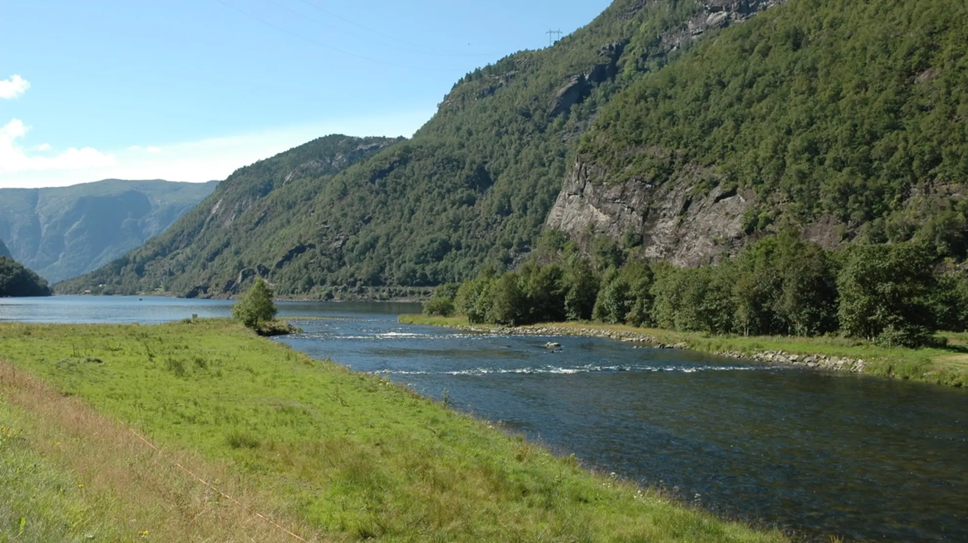 Daleelva