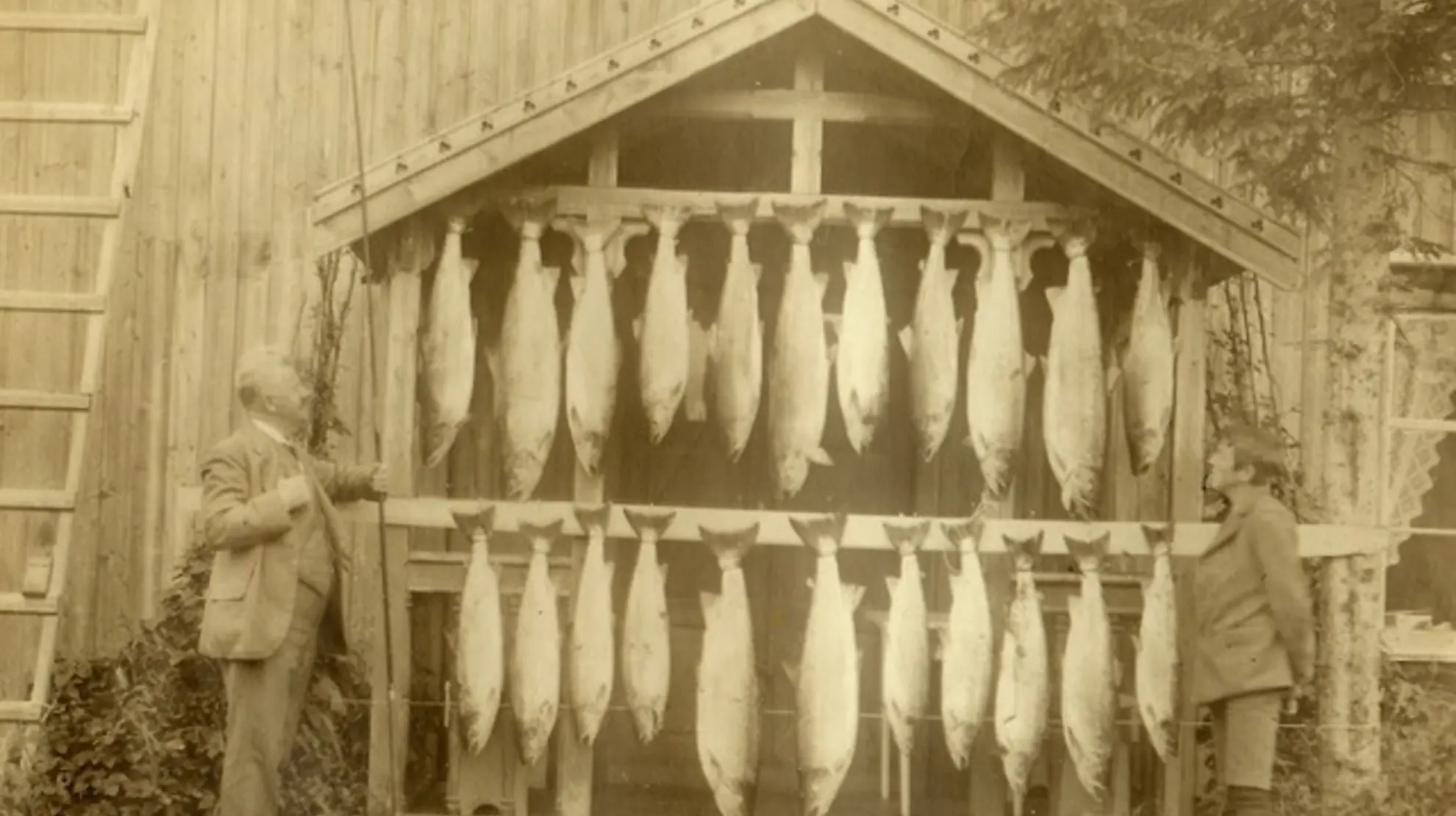 Røssåga_Korgen camping storlaks