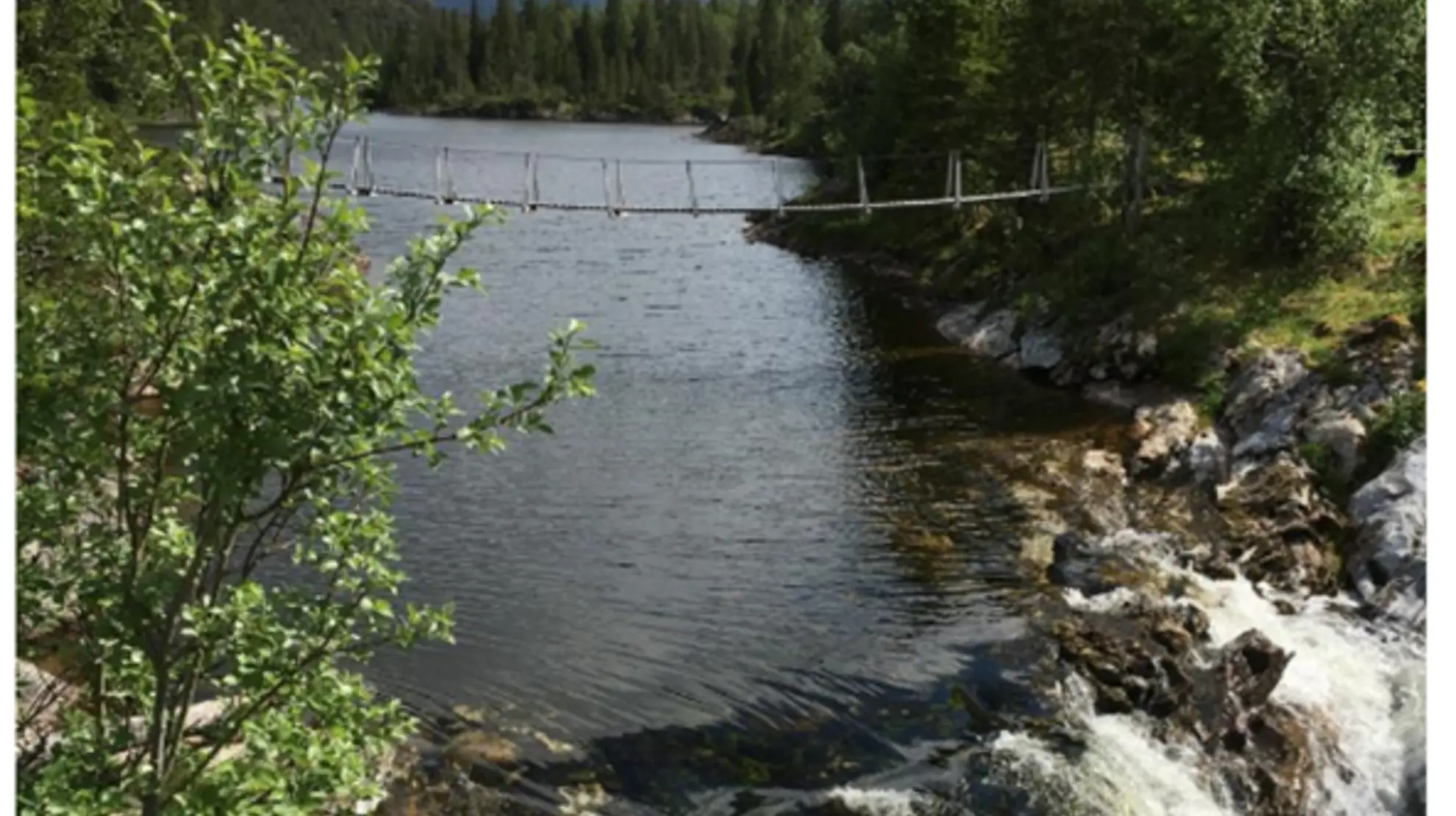 Sausvassdraget