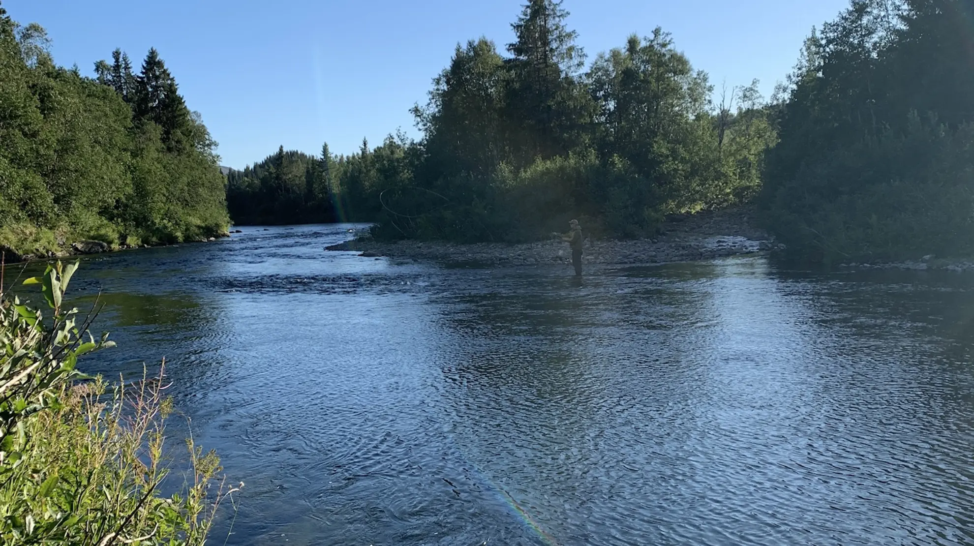 Drevjo_0311