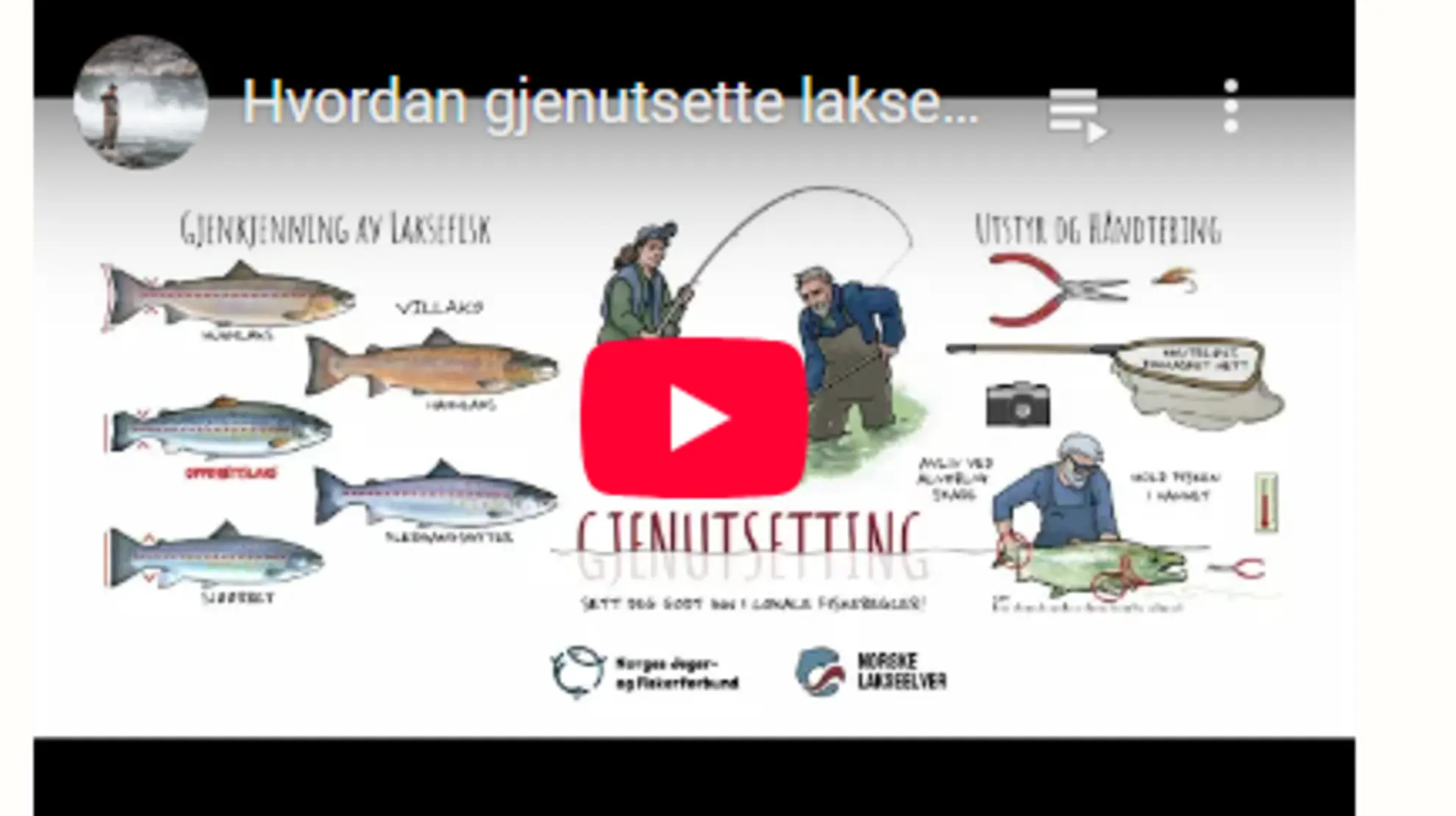 Gjenutsettingsfilm
