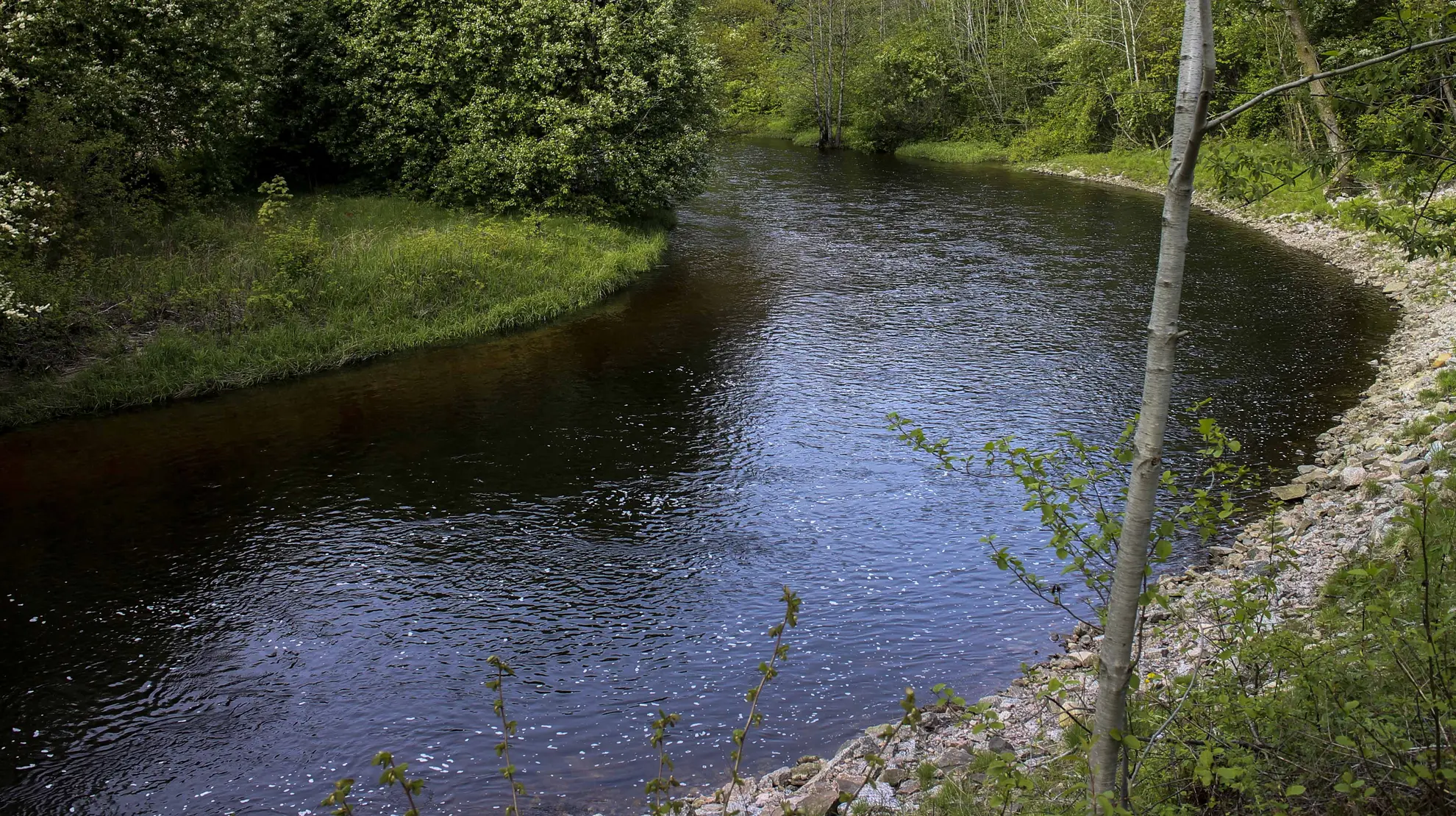 Nesvahølen og Jenshølen Nesvahølen og Jenshølen