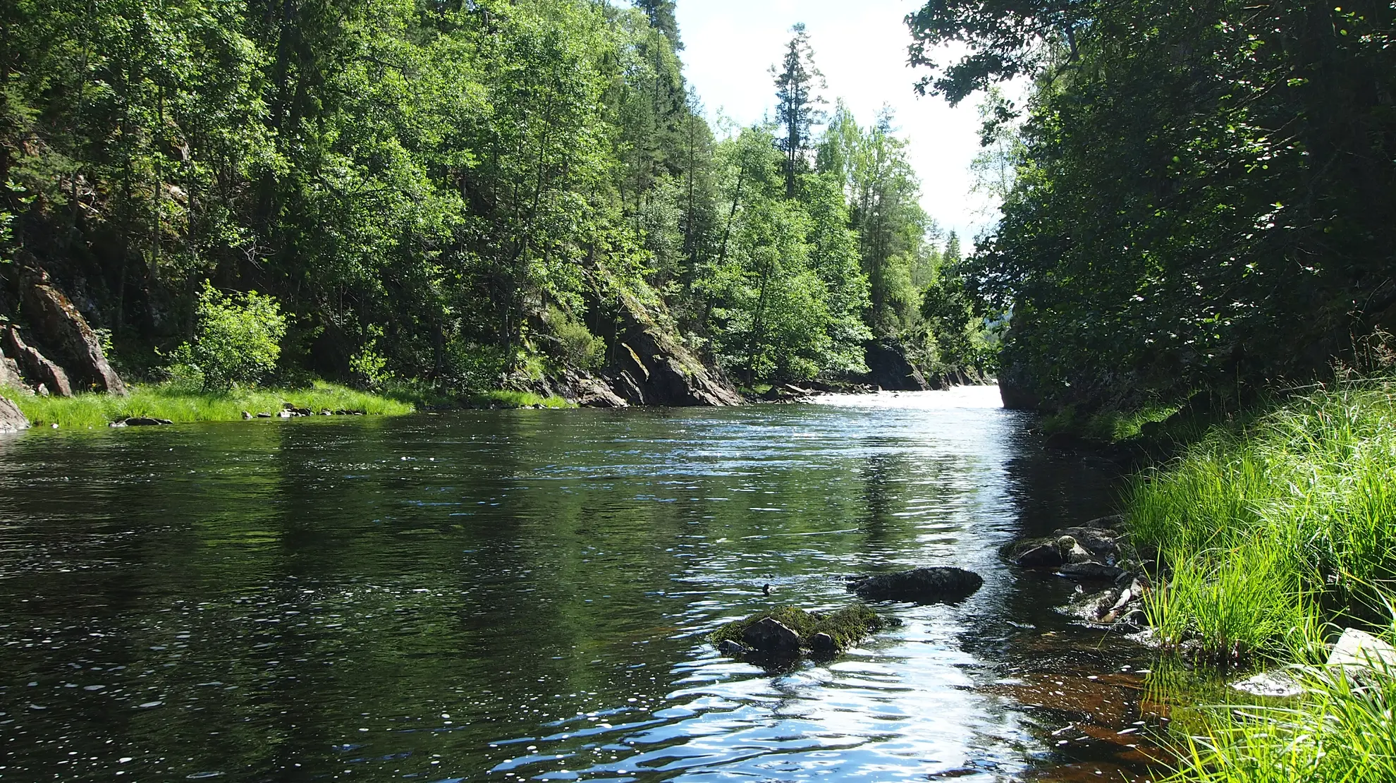 Tørneselva